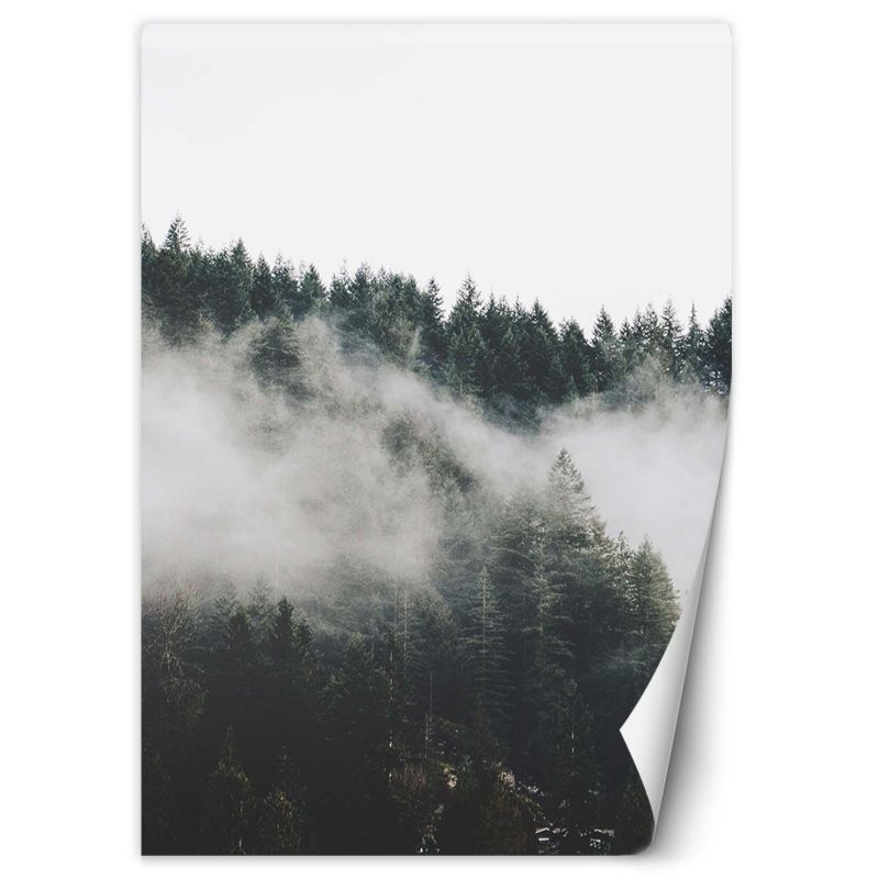 Fototapeta Feeby Las we mgle w górach 100x140 1 szt