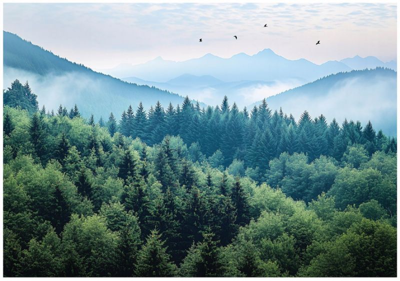 Fototapeta 3D Góry Las We Mgle WALLARENA 300x210 cm Tapeta Do Sypialni Salonu Na Flizelinie 1 szt.