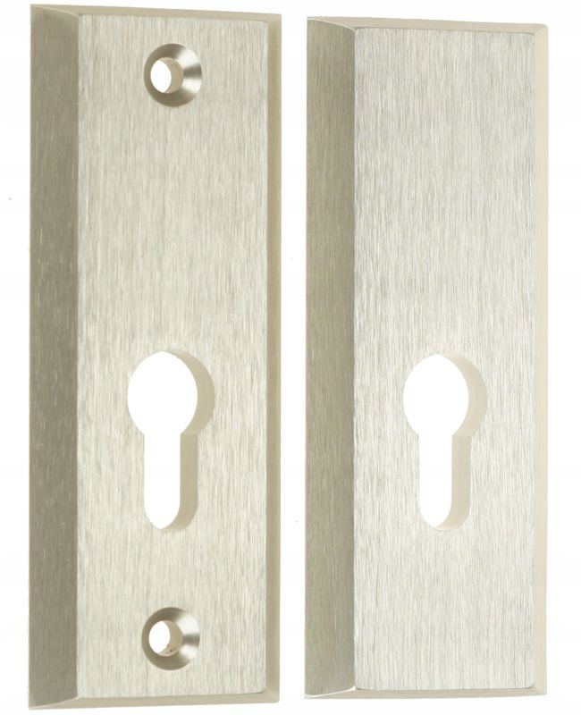 Szyld FEINZ Zewnętrzny Drzwiowy Długi Na Wkład 95 Mm Tytan Srebrny 1 szt.