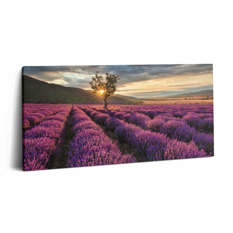 Obraz na płótnie Wallfluent 100x50 cm Pejzaż pola lawendy 1 szt.