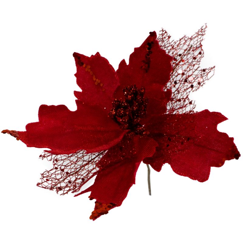 Poinsettia na piku MAG 1