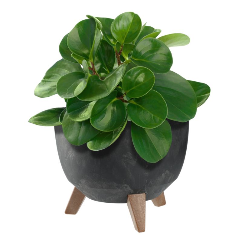 Doniczka KADAX Donica Na Kwiaty 24cm Osłonka + Wkład Nóżki Korek Kwietnik Czarna 1 szt.