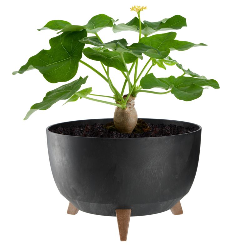 Doniczka KADAX Donica Na Kwiaty 33cm Osłonka + Wkład Nóżki Korek Kwietnik Czarny 1 szt.