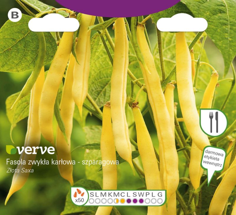 Nasiona fasola Złota Saxa Verve
