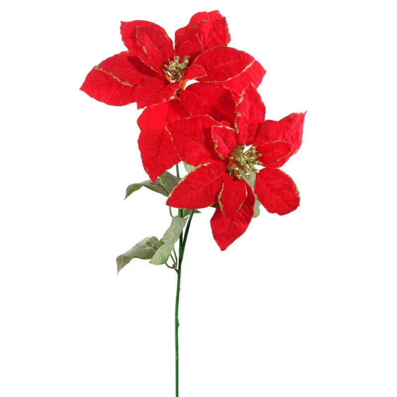 Gwiazda betlejemska Jumi 2 kwiaty