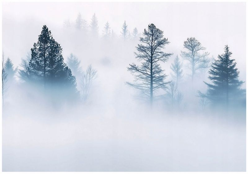 Tapeta Do Salonu Sypialni Las Mgła WALLARENA 250x175 cm Fototapeta Dekoracja Ścienna 1 szt.