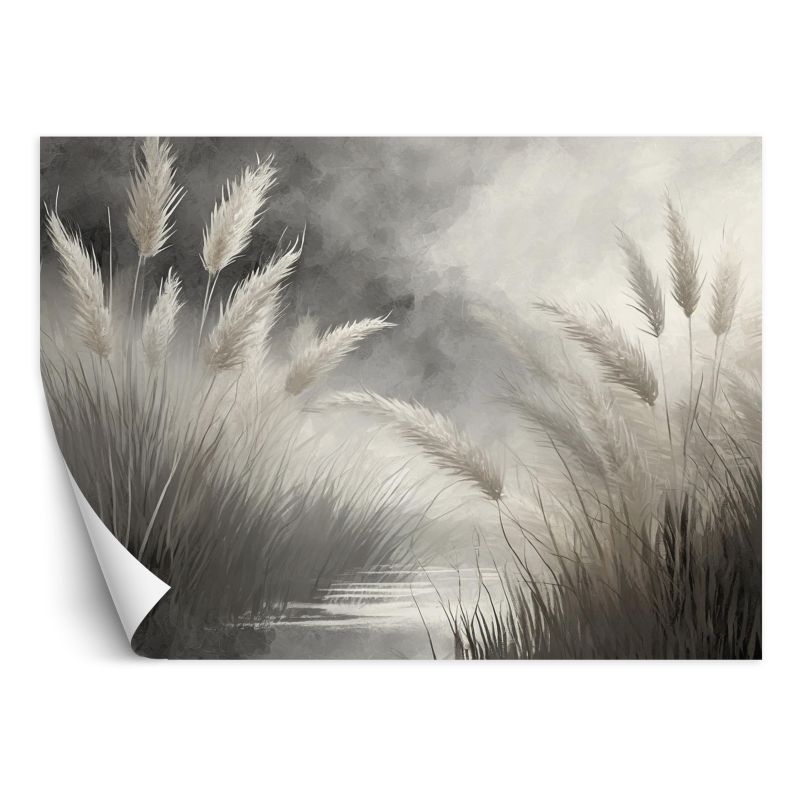 Fototapeta Feeby Trawa trzcinowa Przyroda Botanika 250x175 1 szt