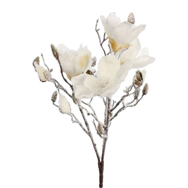 Gałązka magnolii śnieżonej MAG 46 cm