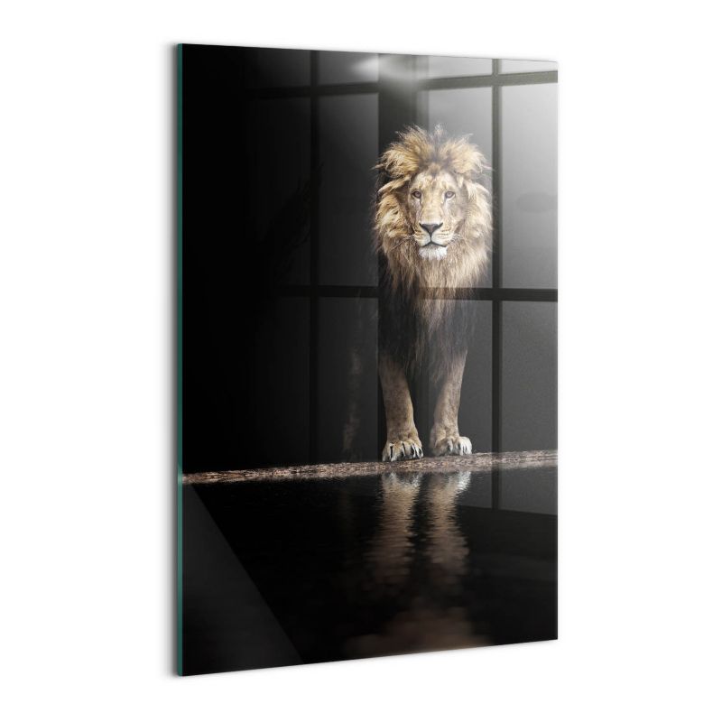 Foto Obraz Ścienny Szklany Wallfluent 40x60 cm Samotne zwierzę dziki lew 1 szt.