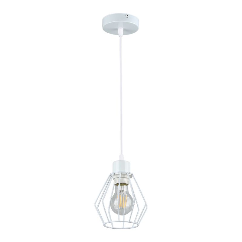 Oprawa wisząca, DPM, 1 x E27, biała, 1szt