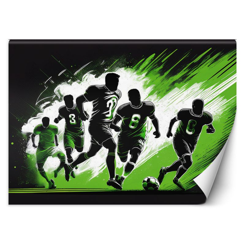 Fototapeta Feeby Mecz piłkarski 250x175 1 szt