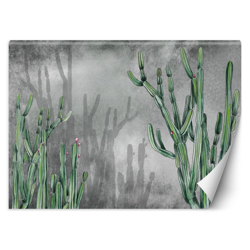 Fototapeta Feeby Duży kaktus pustynny 250x175 1 szt