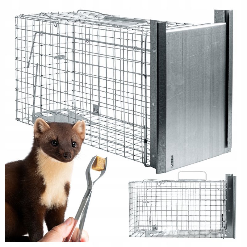 Pułapka na kuny Zielona Łapka żywołapka na szczury łasice 50 x 20 x 27cm 1 szt.