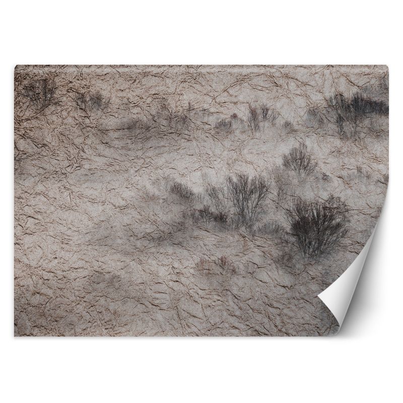 Fototapeta Feeby Łąka we mgle 100x70 1 szt