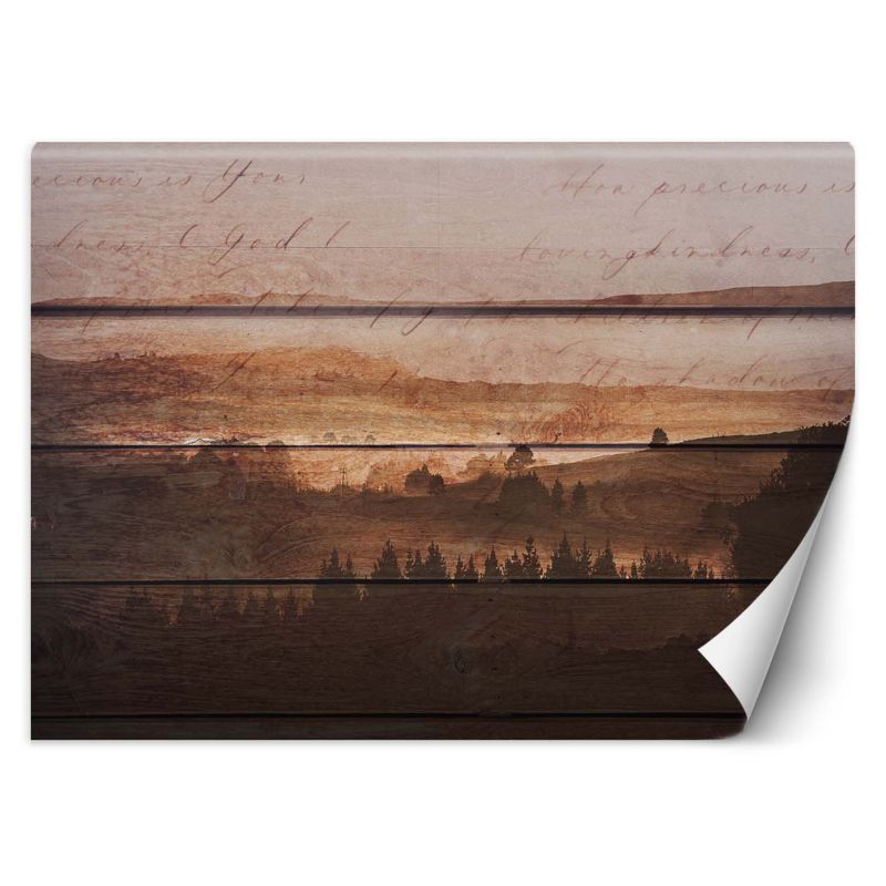 Fototapeta Feeby Las deski vintage 150x105 1 szt