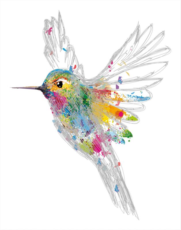 Obraz Koliber 40 x 50 cm