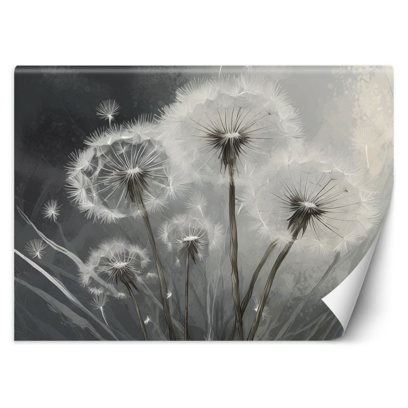 Fototapeta Feeby Zbliżenie na dmuchawce 350x245 1 szt