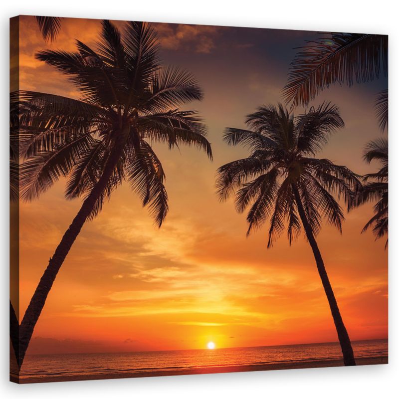 Obraz do salonu sypialni Feeby Morze Zachód Tropikalne Palmy 60x60 cm 1szt