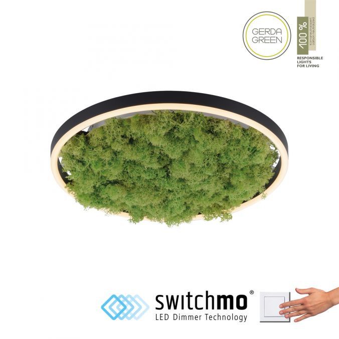 Lampa sufitowa wisząca Leuchten Direkt Green Ritus 4792 zielono-czarna nowoczesna wbudowany LED 20W 1 szt.