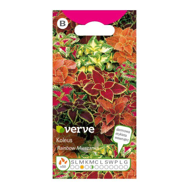 Nasiona koleus Rainbow Verve