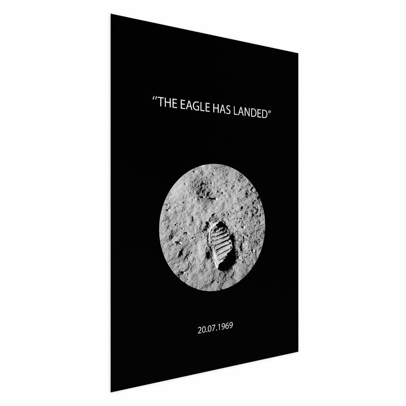 Plakat Artgeist The Eagle 40x60 cm bez ramy 1 szt