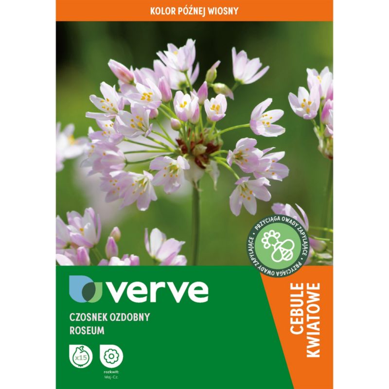 Czosnek różowy Roseum 15 szt.