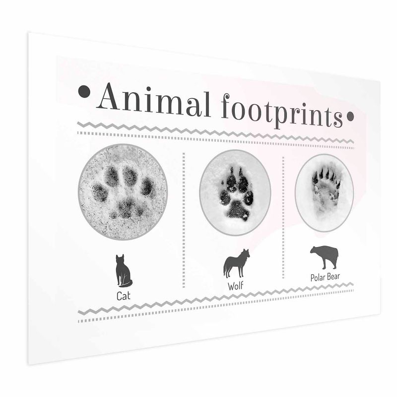 Plakat Artgeist Ślady łapek 60x40 cm bez ramy 1 szt
