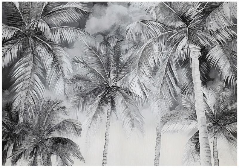 Tapeta Do Sypialni Salonu Kuchni WALLARENA 400x280 cm Dekoracja Fototapeta Palmy Czarno Biała 1 szt.