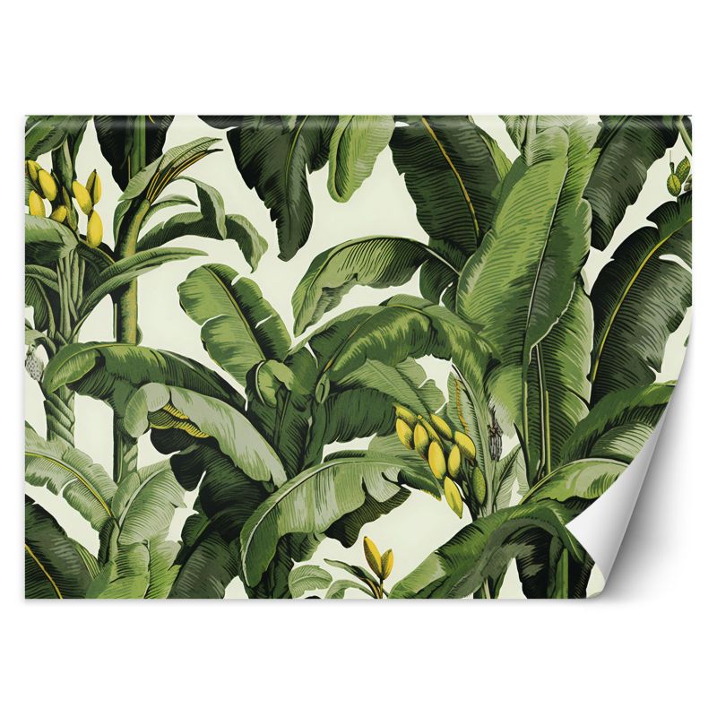 Fototapeta Feeby Zielone liście bananowca 350x245 1 szt