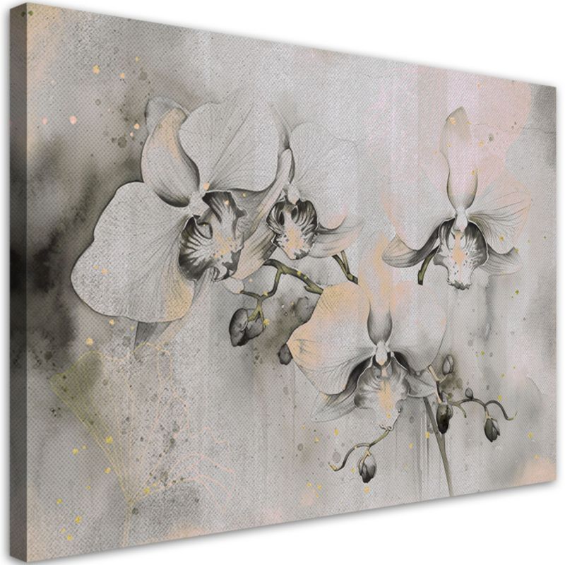 Obraz do salonu sypialni Feeby Kwitnące Orchidee Abstrakcja Beżowy 120x80 cm 1szt