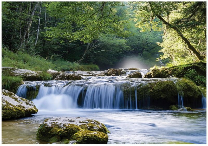 Fototapeta Wodospad 3D Las WALLARENA 400x280 cm Tapeta Do Sypialni Salonu Na Flizelinie 1 szt.