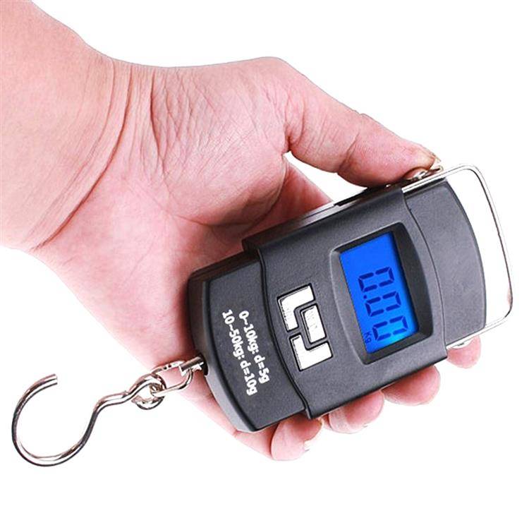 WAGA hakowa na ryby AG199B do 50kg - Henryx24