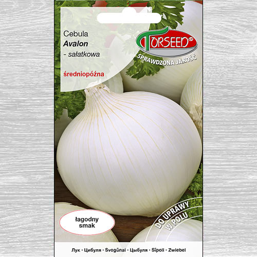 1 szt, Cebula Avalon biała - Nasiona: Ilość w opakowaniu: 3 g