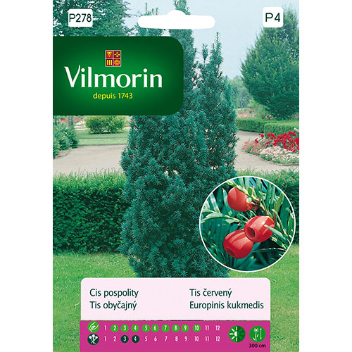 1 szt, Cis pospolity Vilmorin - Nasiona: Ilość w opakowaniu: 20 szt
