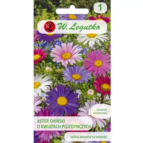 1 szt, Aster chiński o kwiatach pojedynczych Madeleine, mix - Nasiona: Ilość w opakowaniu: 1 g