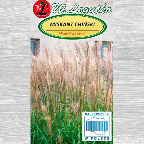 1 szt, Miskant chiński Legutko - Nasiona: Ilość w opakowaniu: 0.05 g