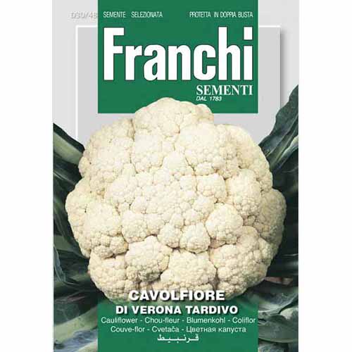 1 szt, Kalafior Di Verona Tardivo Morami - Nasiona: Ilość w opakowaniu: 4 g