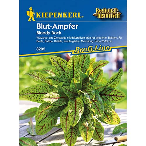 Szczaw krwisty Bloody Dock - Nasiona. Ilość w opakowaniu: 1 opak - GradinaMax