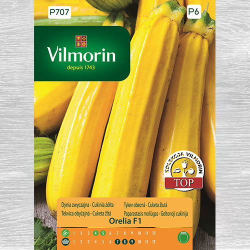 1 szt, Cukinia (Dynia zwyczajna) Orelia F1 - Nasiona: Ilość w opakowaniu: 2 g