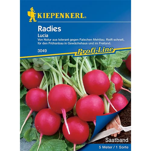 Rzodkiewka Lucia F1 - Nasiona. Ilość w opakowaniu: 1 opak - GradinaMax