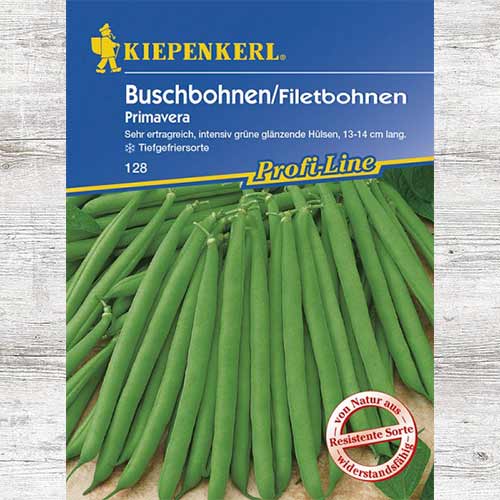 1 szt, Fasola szparagowa Primavera - Nasiona: Ilość w opakowaniu: 1 opak