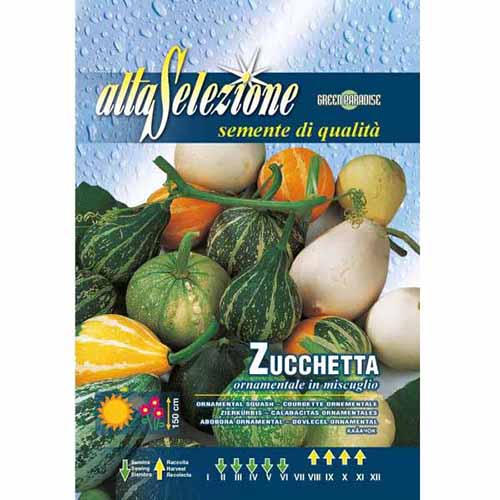 1 szt, Dynia ozdobna, mieszanka kolorów Morami - Nasiona: Ilość w opakowaniu: 2.5 g