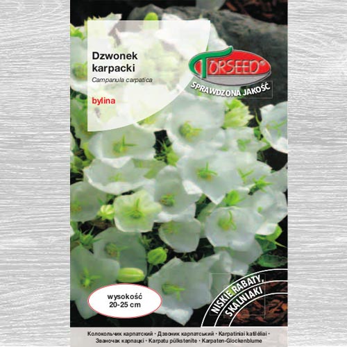 1 szt, Dzwonek karpacki biały - Nasiona: Ilość w opakowaniu: 0.5 g