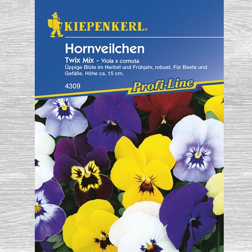1 szt, Fiołek rogaty Twix, mieszanka - Nasiona: Ilość w opakowaniu: 1 opak
