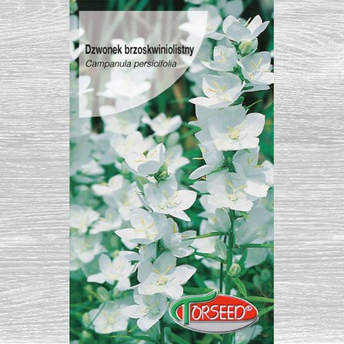 1 szt, Dzwonek brzoskwiniolistny biały - Nasiona: Ilość w opakowaniu: 0.2 g