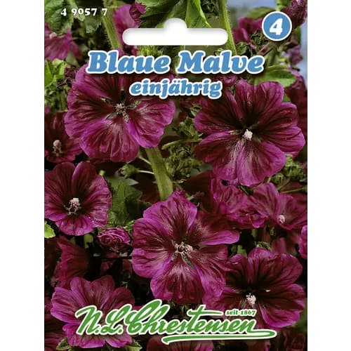 Malwa niebieska (Ślaz dziki) - Nasiona. Ilość w opakowaniu: 1 opak - GradinaMax