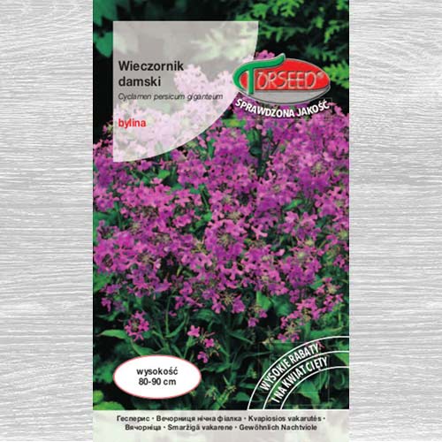 1 szt, Wieczornik damski, mieszanka - Nasiona: Ilość w opakowaniu: 1 g
