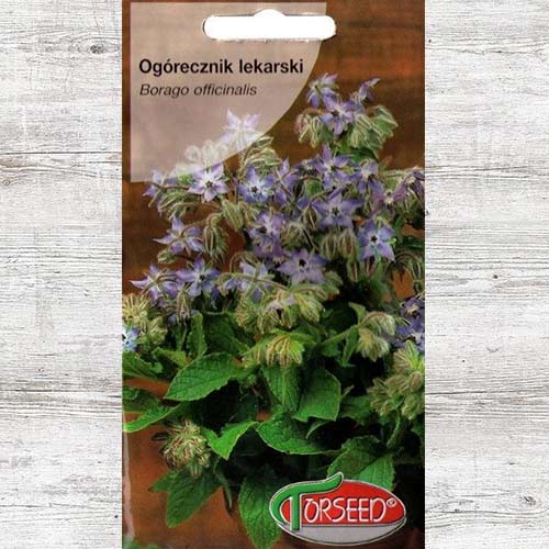 1 szt, Nasiona Ogórecznik lekarski - Nasiona: Ilość w opakowaniu: 2 g