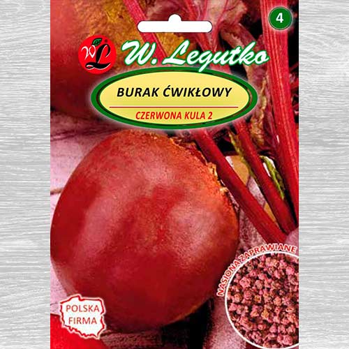 1 szt, Burak ćwikłowy Czerwona Kula - Nasiona: Ilość w opakowaniu: 100 szt