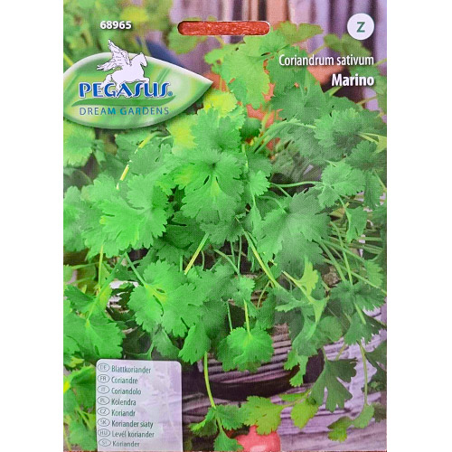 1 szt, Kolendra siewna Marino Kiepenkerl - Nasiona: Ilość w opakowaniu: 1 opak